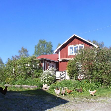 Boende Naera Romme Alpin Och Andra Friluftsaktiviteter I Dalarna Smedjebacken エクステリア 写真