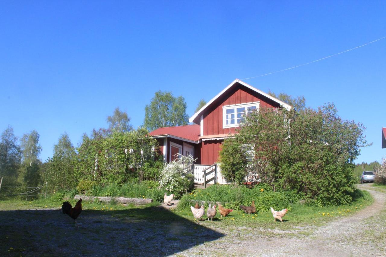 Boende Naera Romme Alpin Och Andra Friluftsaktiviteter I Dalarna Smedjebacken エクステリア 写真