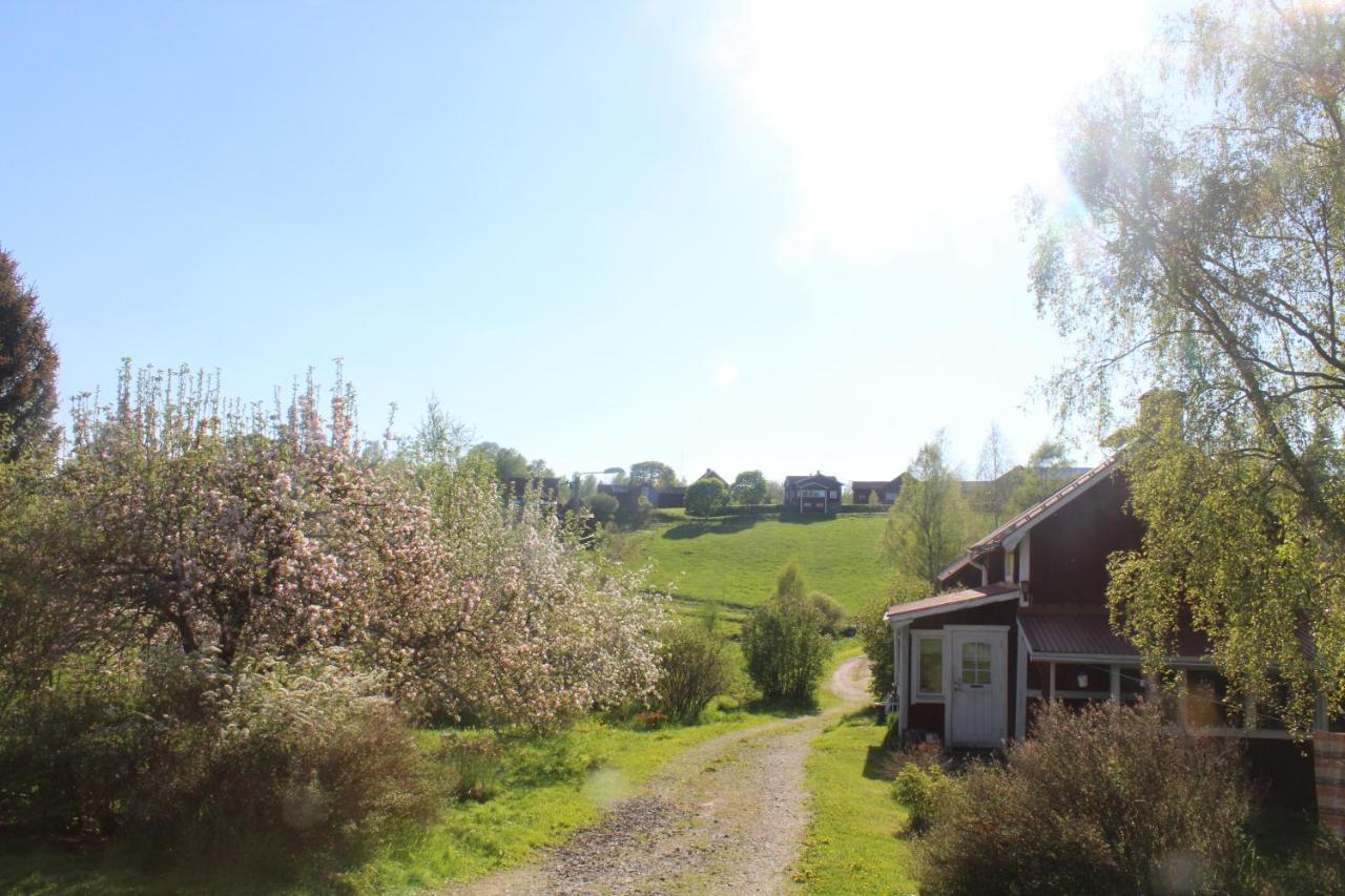 Boende Naera Romme Alpin Och Andra Friluftsaktiviteter I Dalarna Smedjebacken エクステリア 写真